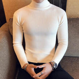 Turtleneck Fashion Sweater