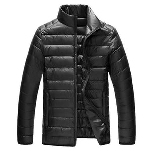 Spring Stand Collar Duck Down Jacket (Metallic Grey)