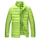 Spring Stand Collar Duck Down Jacket (Metallic Grey)