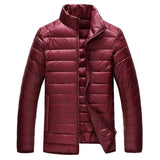 Spring Stand Collar Duck Down Jacket (Purple)